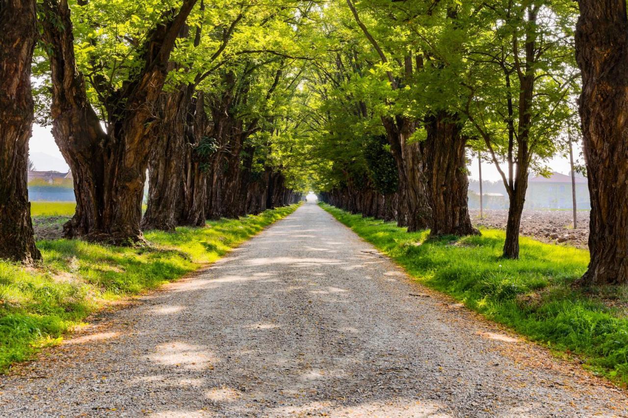 Agriturismo Le Corti Della Gualdana Voghera Kültér fotó